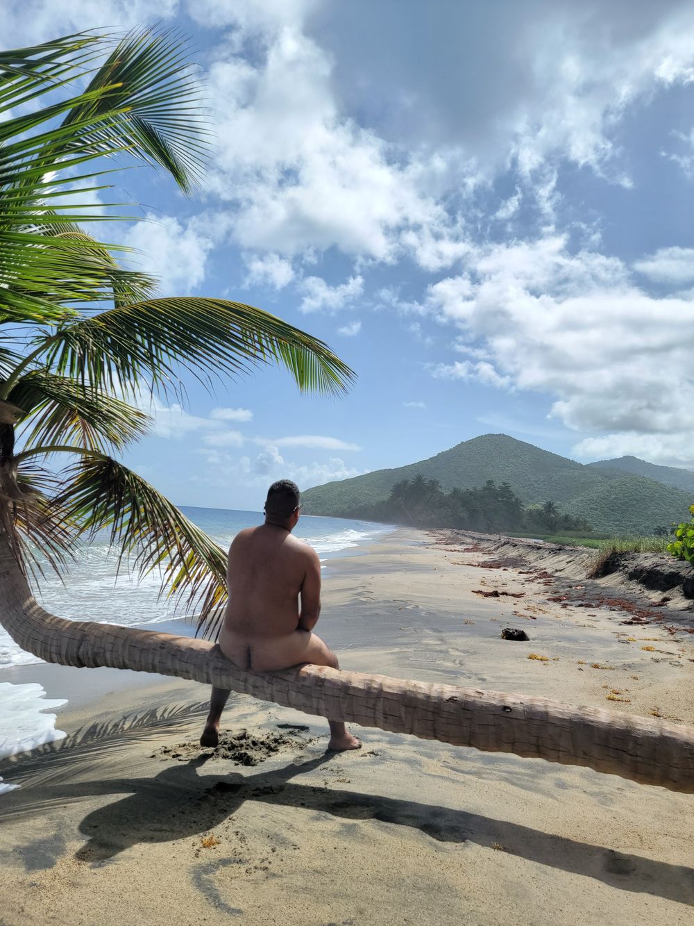 lacus_manatus OnlyFans profile picture