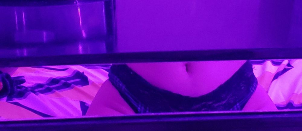 lizelisrodriguez OnlyFans profile picture