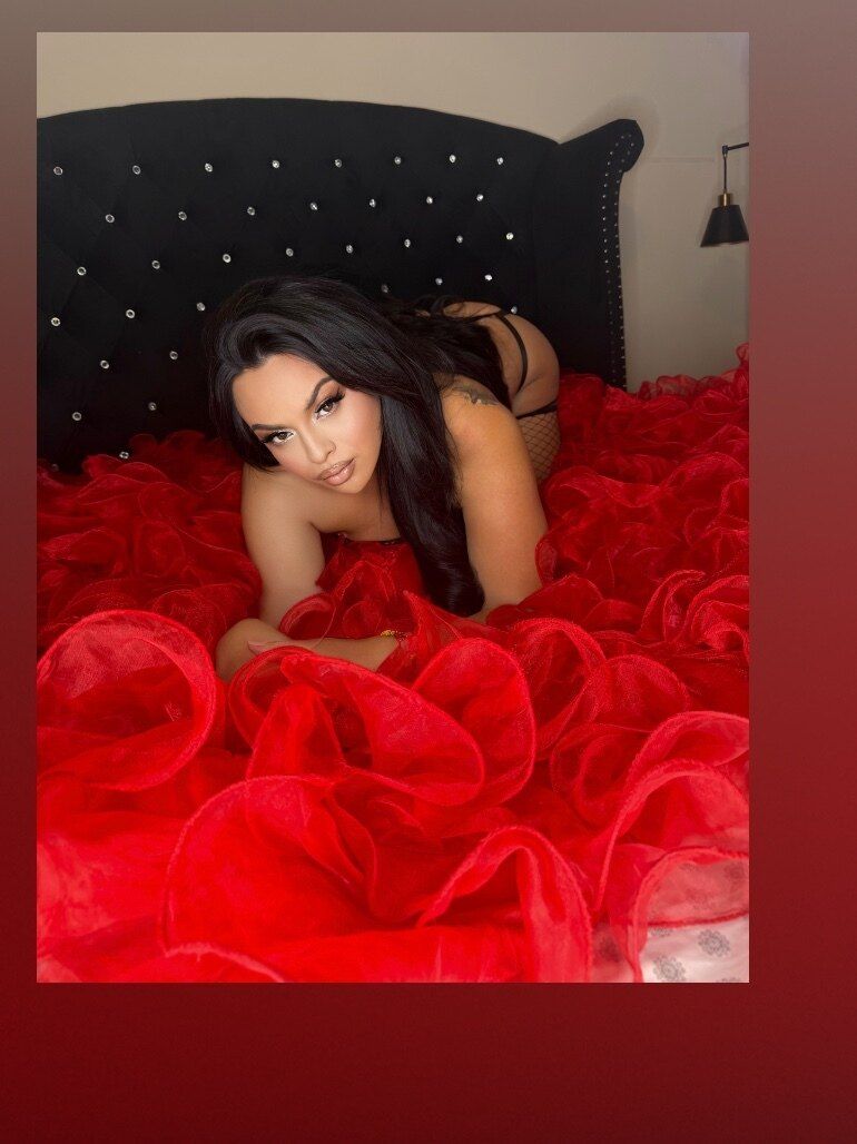 angiesalguero25 OnlyFans profile picture