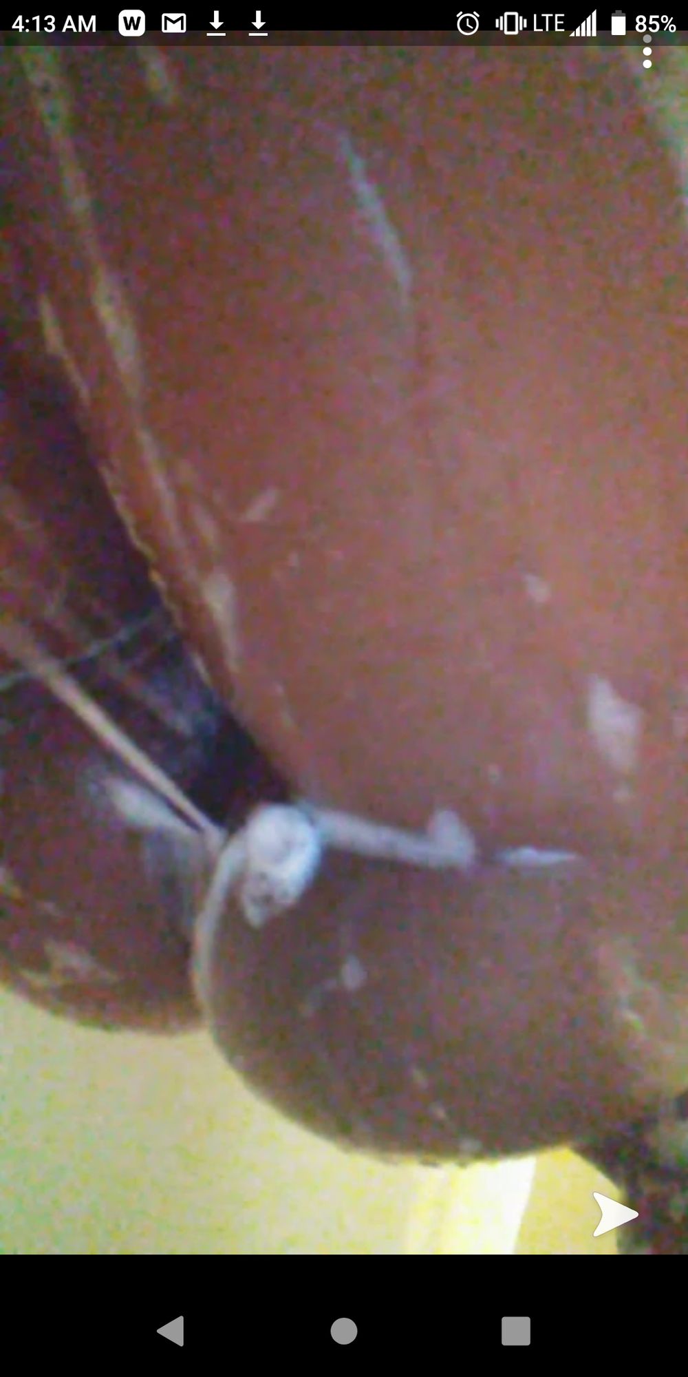wetbratz OnlyFans profile picture