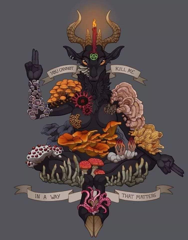 oktoberrwayne OnlyFans profile picture