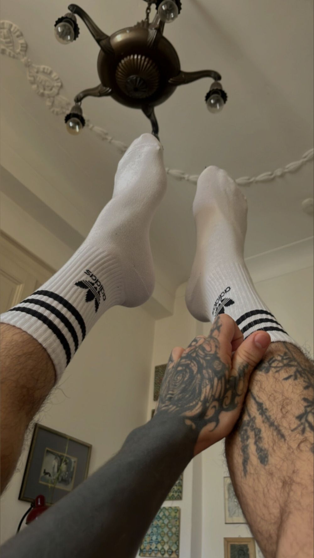 milksme6 OnlyFans profile picture
