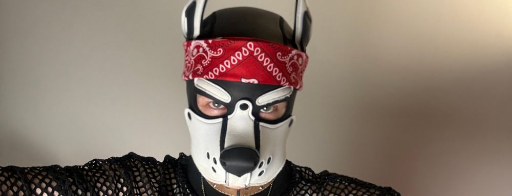 dogcz11 OnlyFans profile picture