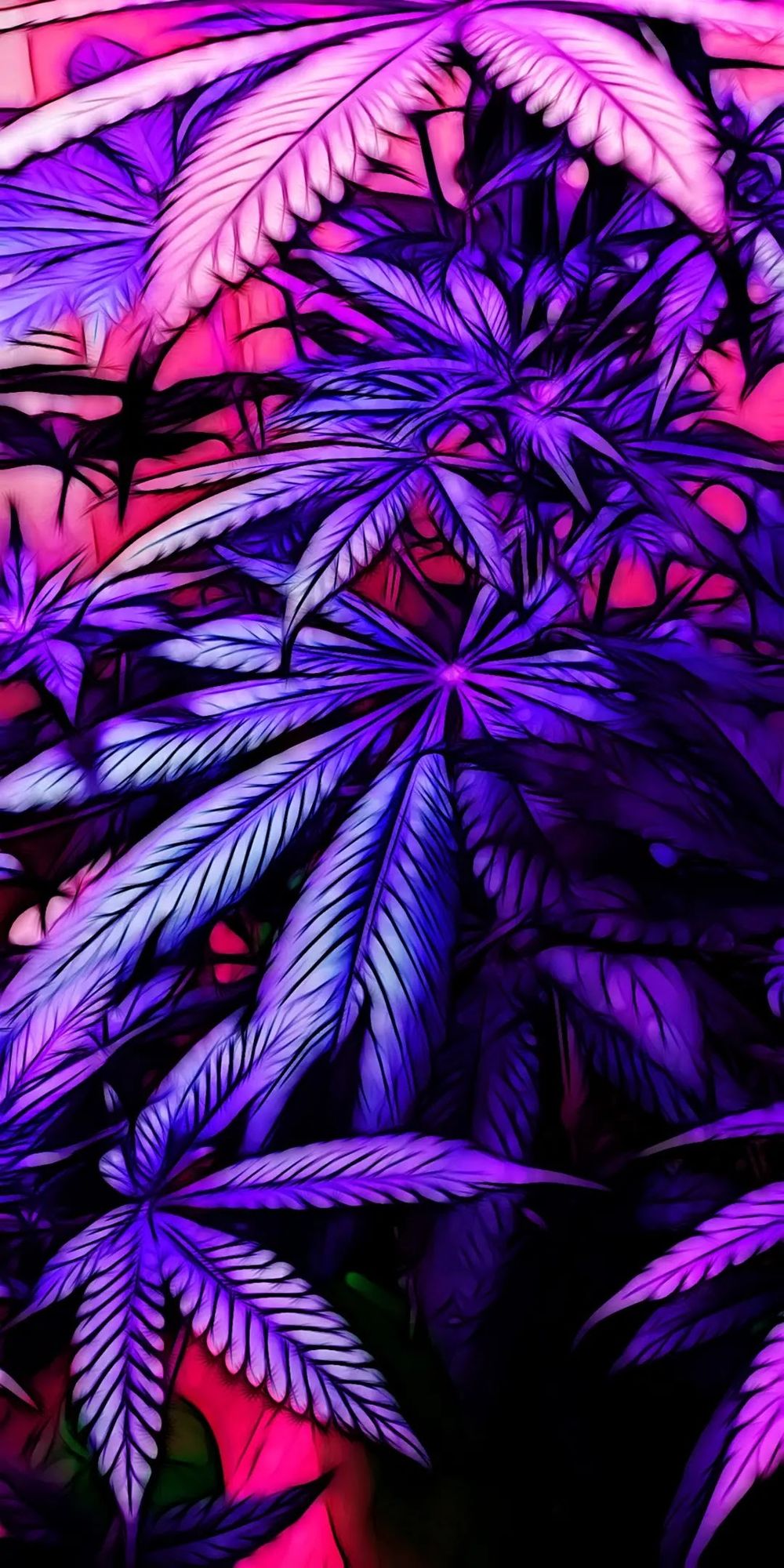 xochiilove OnlyFans profile picture
