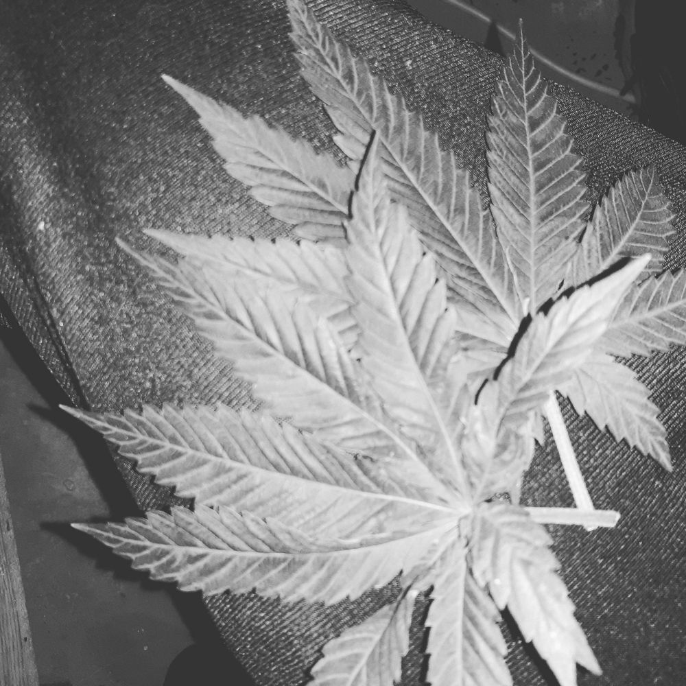jugoxxx OnlyFans profile picture