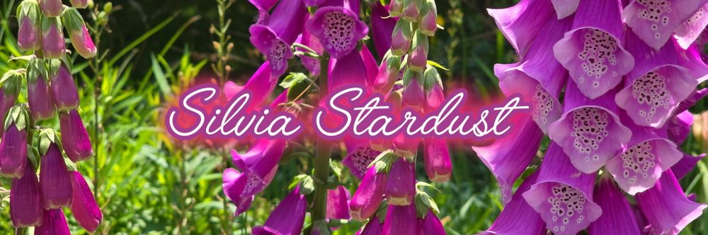 silviastardust OnlyFans profile picture
