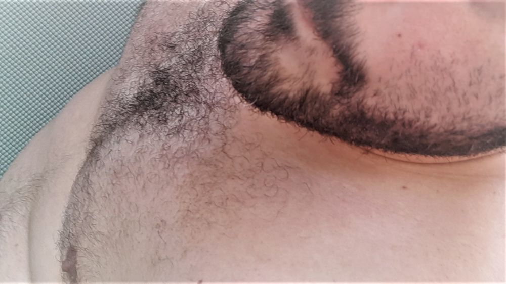 thenerdybear OnlyFans profile picture