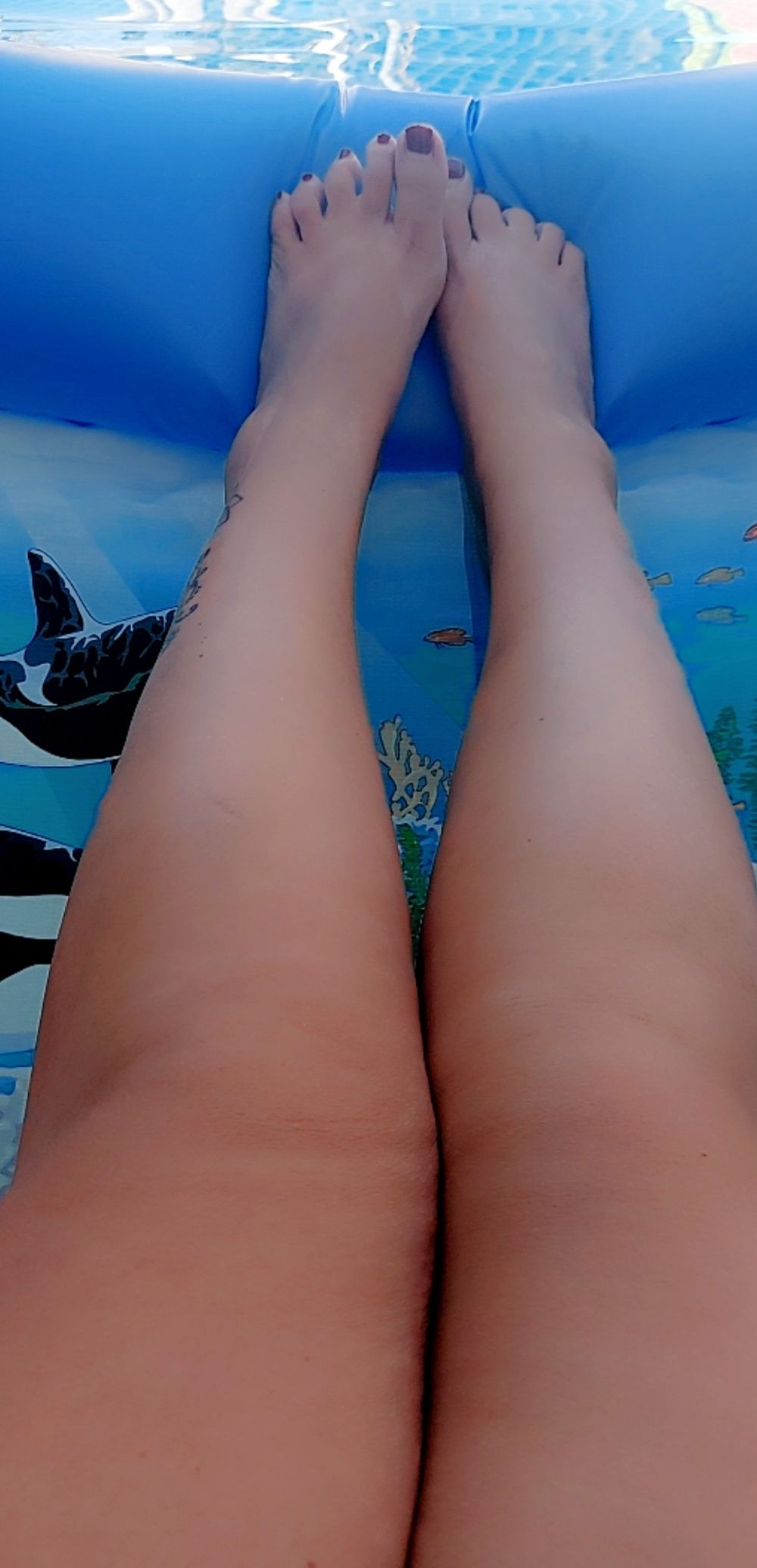mydutchfeet88 OnlyFans profile picture