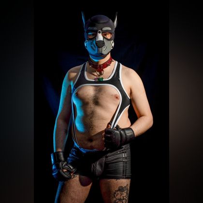 pup_danes OnlyFans picture