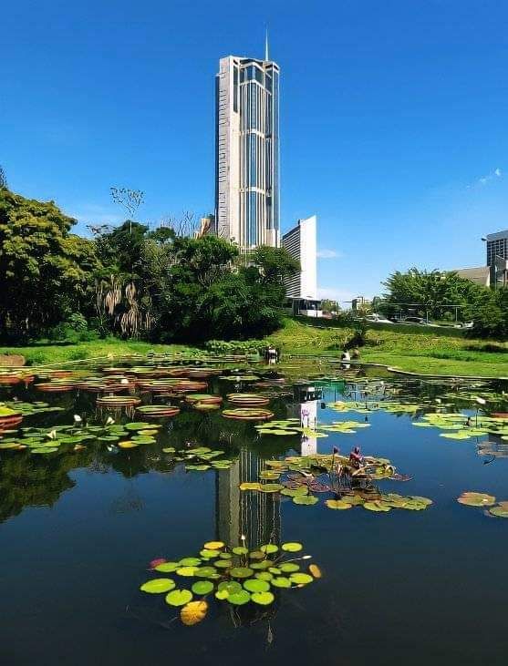 ededed1989 OnlyFans profile picture