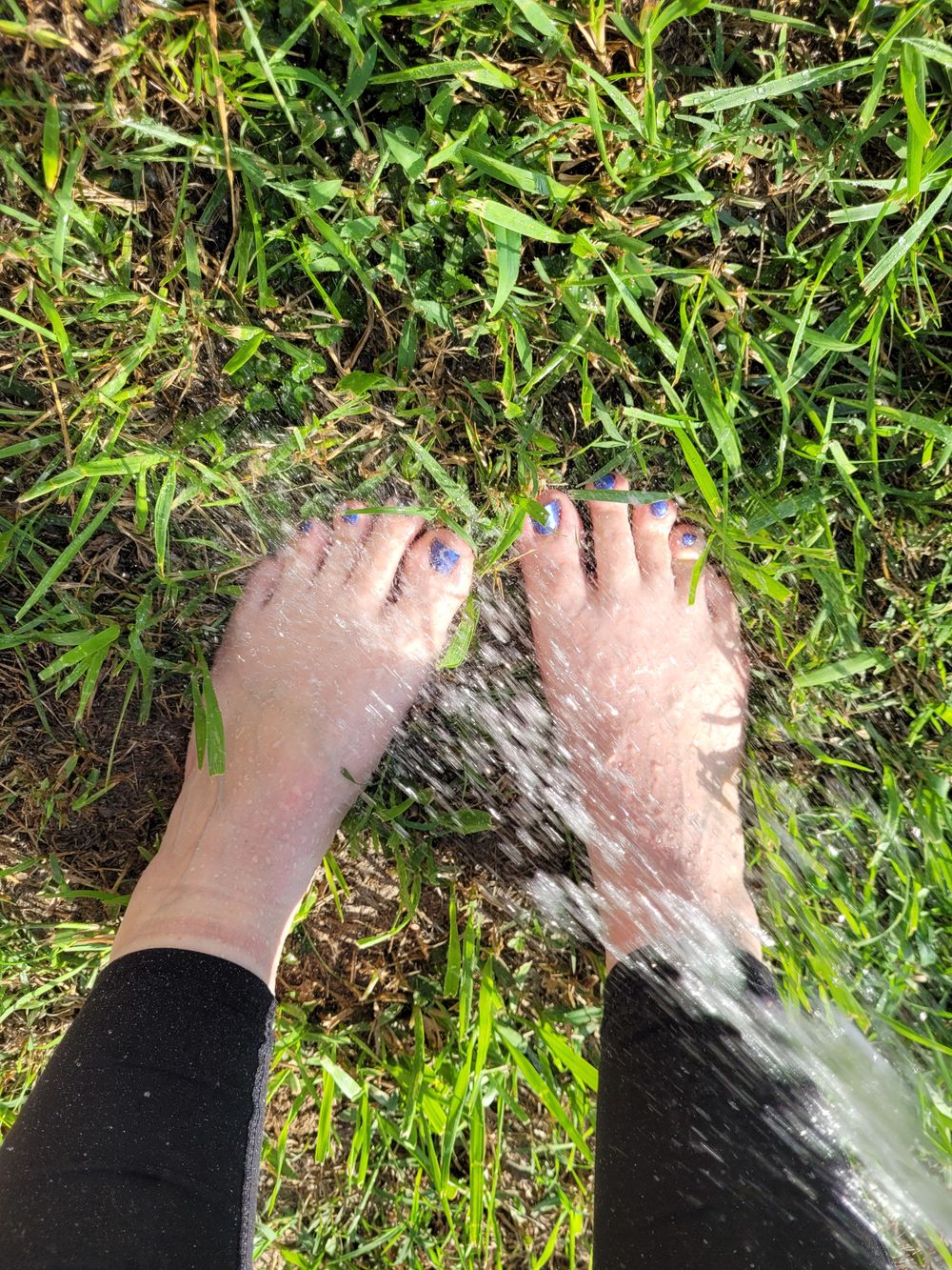 bossladybearfeet OnlyFans profile picture