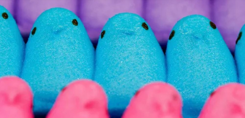 peepfreaks OnlyFans profile picture