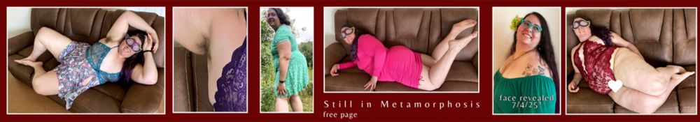 stillinmetamorphosis OnlyFans profile picture