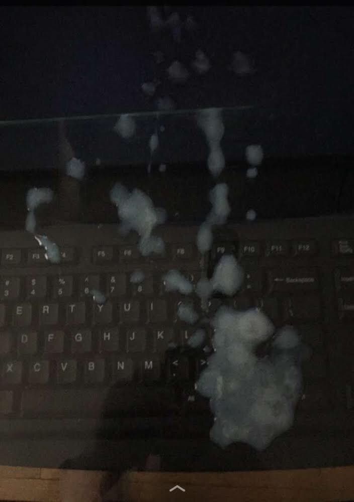 daivin OnlyFans profile picture