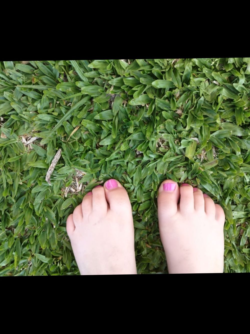 pipfeet OnlyFans profile picture