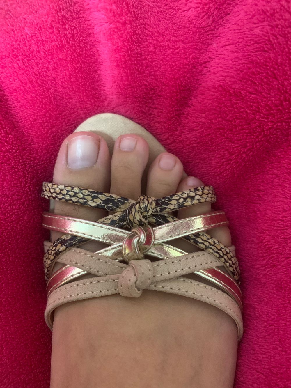asmrcloefeetpiesfetish OnlyFans profile picture