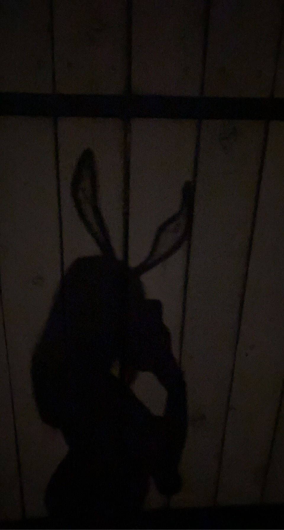 heavenlyadrianaa OnlyFans profile picture