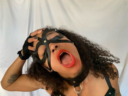 ladynele OnlyFans picture