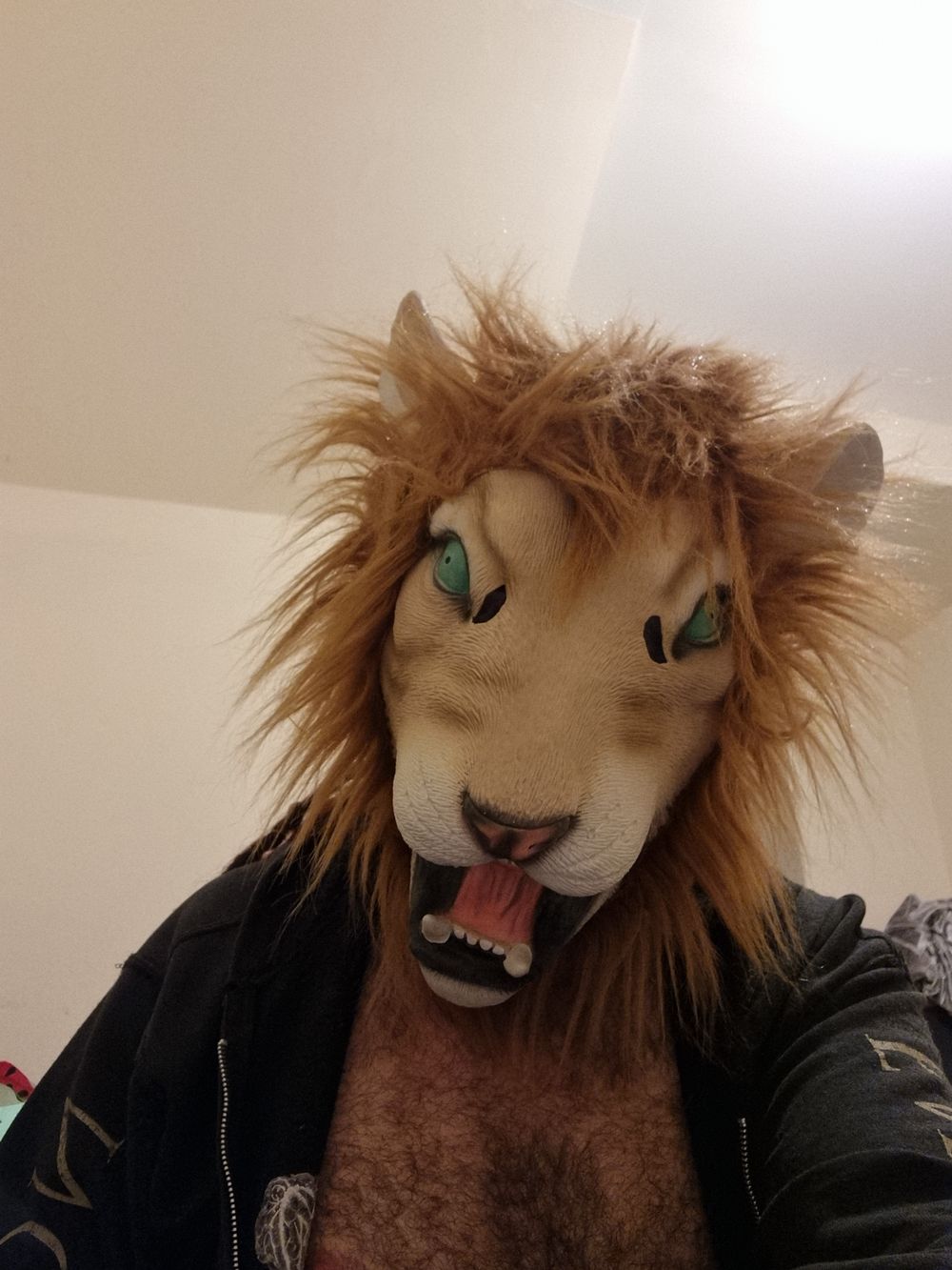 yorkshirelion OnlyFans profile picture