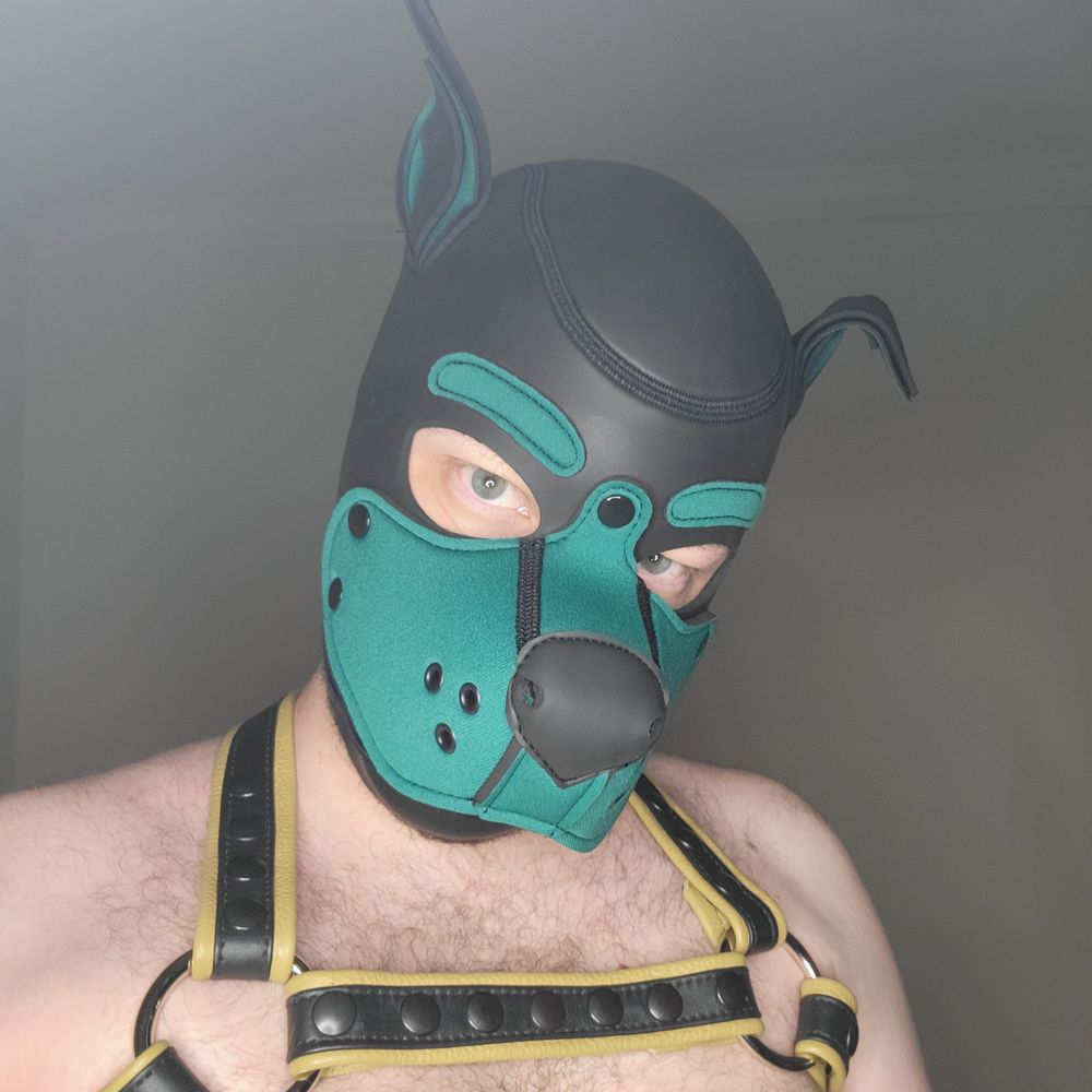 pupcabe OnlyFans profile picture