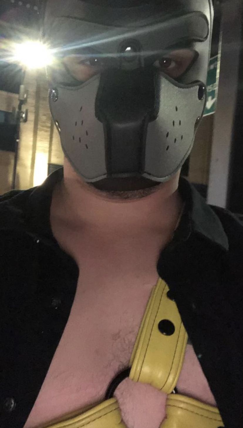 sparkypuppy OnlyFans profile picture