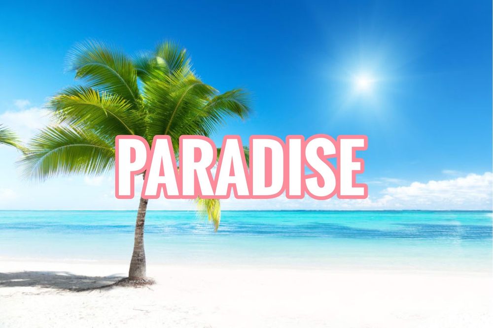 paradisebt OnlyFans profile picture
