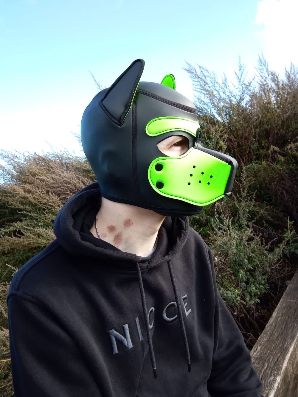pup_oscar OnlyFans profile picture