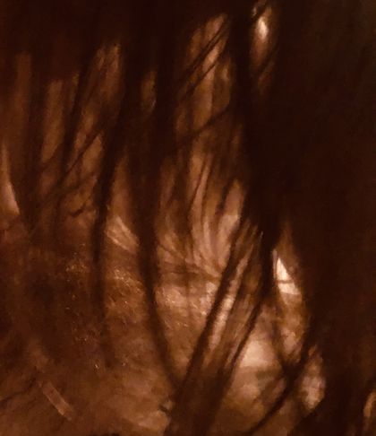 hiddenbrooke OnlyFans picture