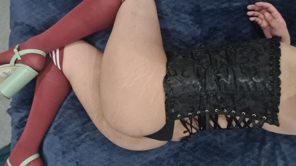 transjasminealarabi OnlyFans profile picture