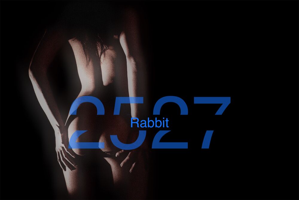 rabbit2527 OnlyFans profile picture