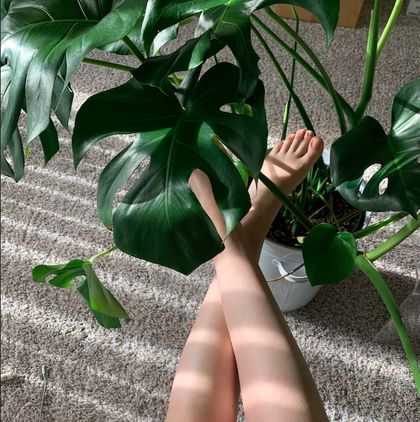 barbzorrr OnlyFans picture