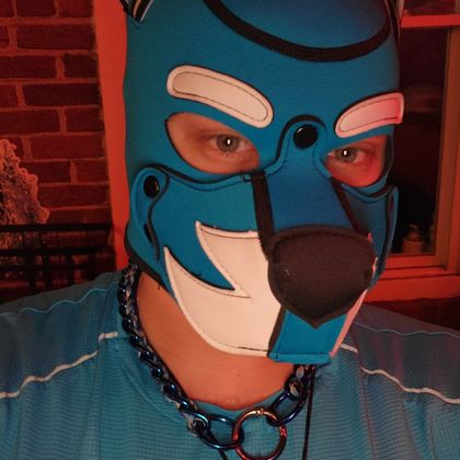pup_wolfio OnlyFans picture