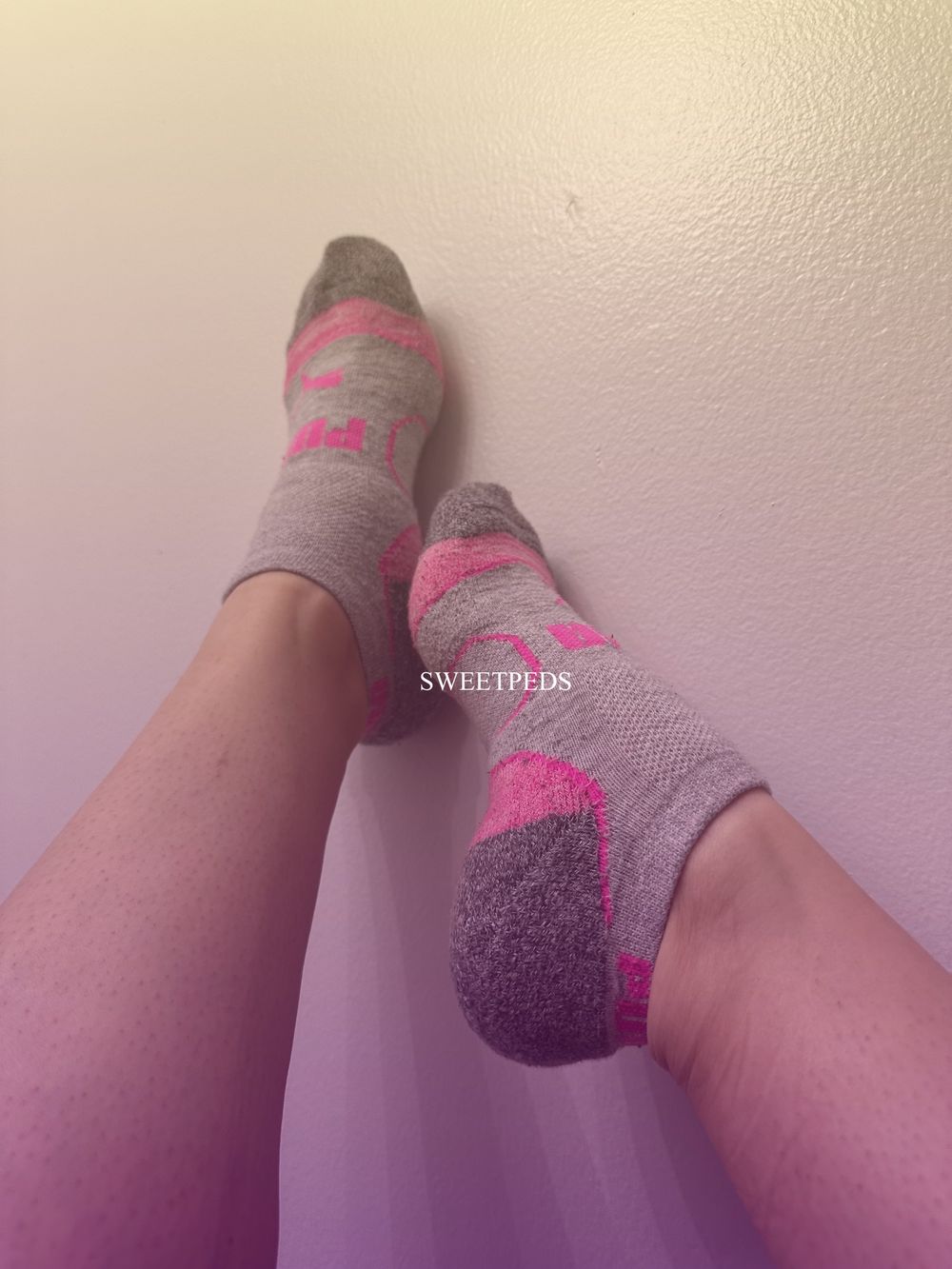 sweetpeds OnlyFans profile picture
