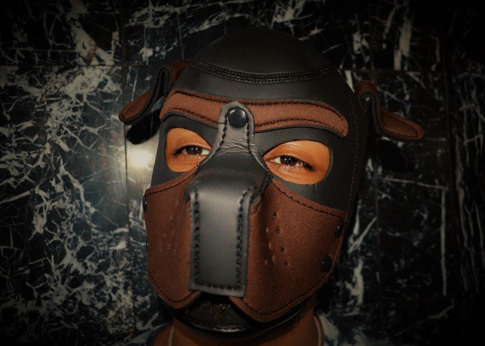 x_thepup001 OnlyFans profile picture