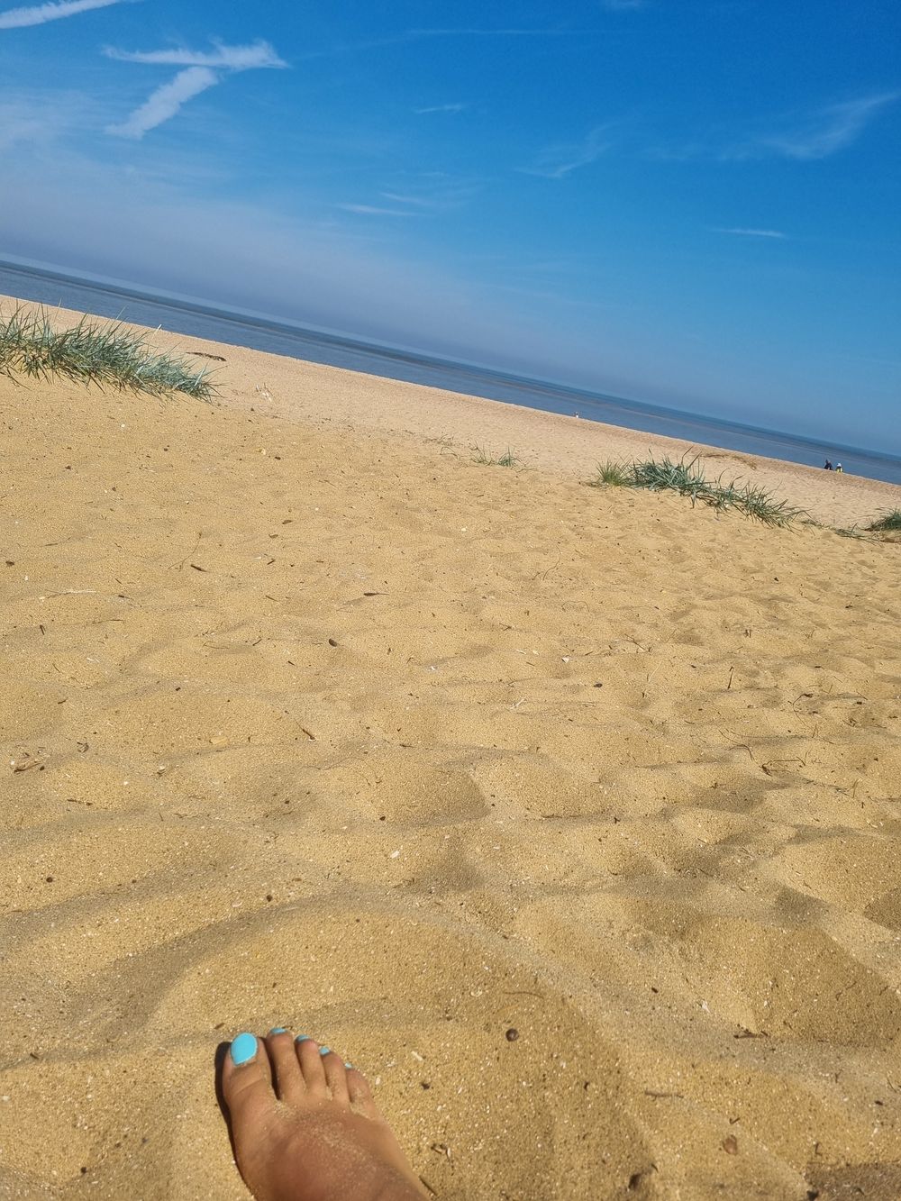 barefootbish7 OnlyFans profile picture