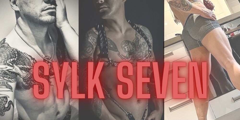 sylkseven OnlyFans profile picture