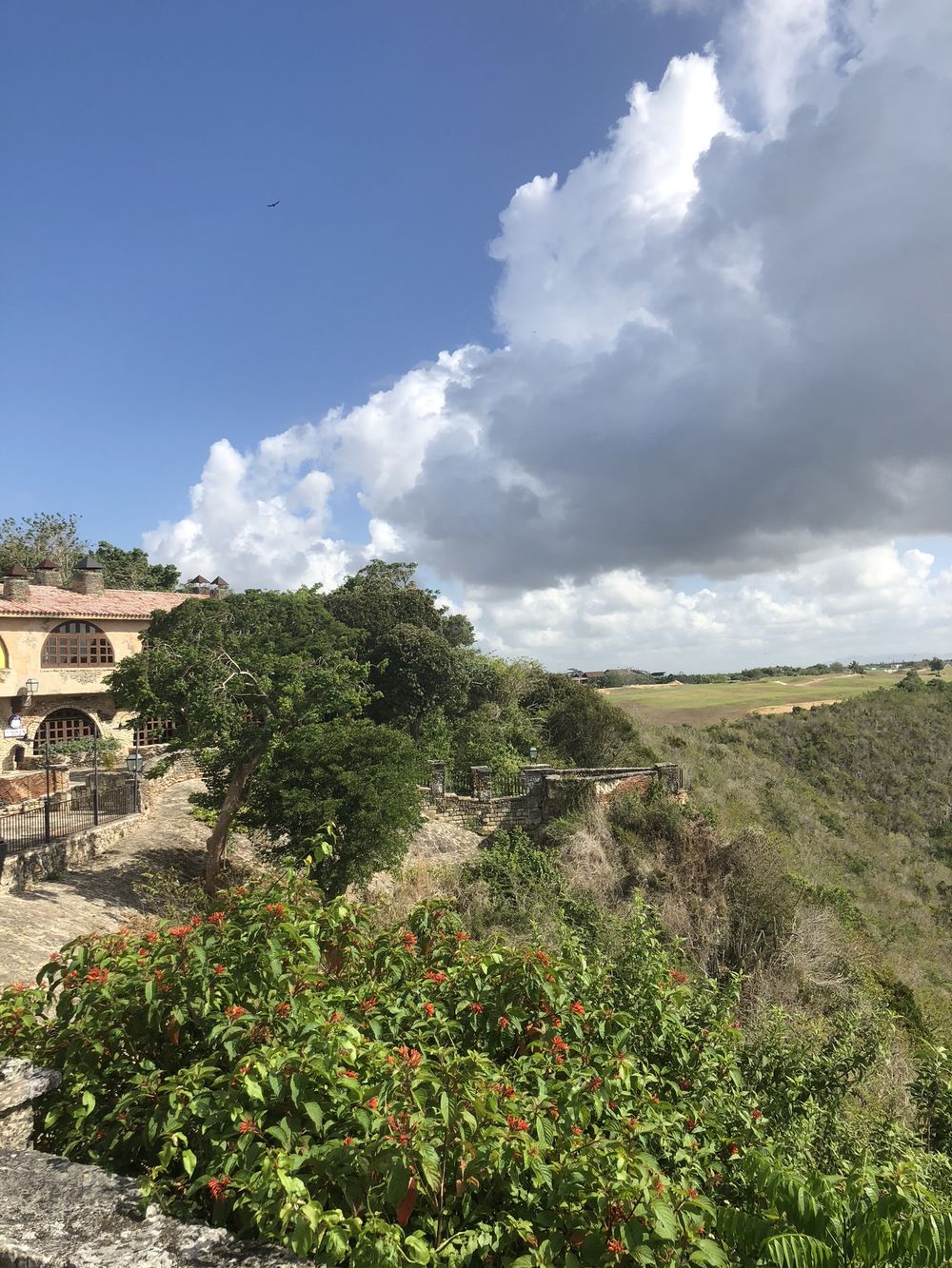 fitqueen_ OnlyFans - Stats, Graphs, Photos & Profile Comparisons | FansMetrics.com