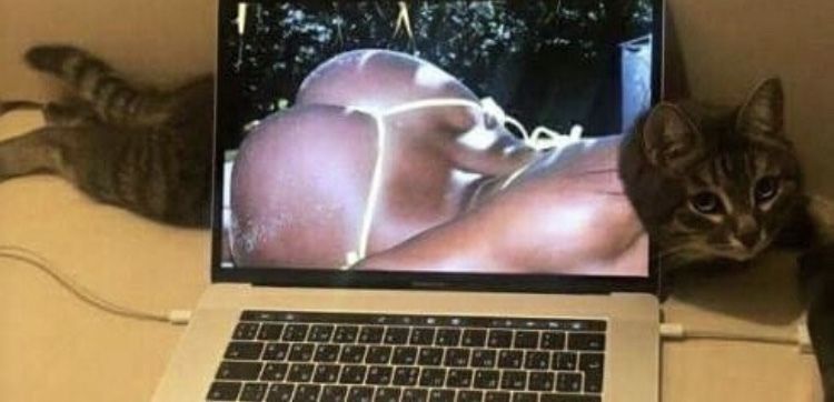 michik0 OnlyFans profile picture
