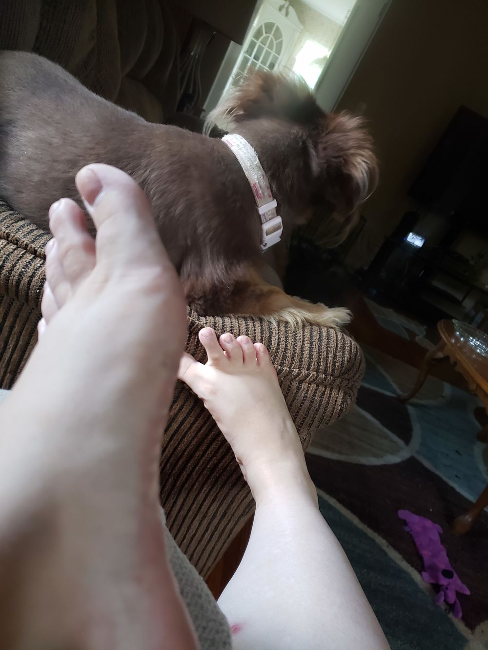 prettypetitfeet91 OnlyFans profile picture