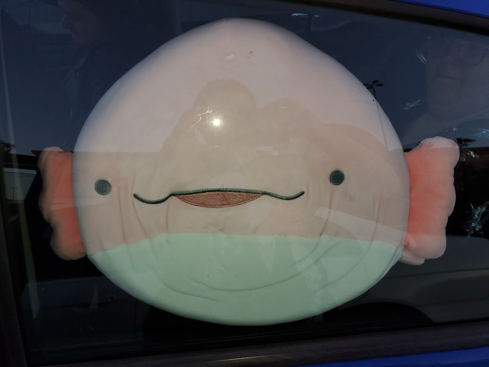 achublesumi OnlyFans profile picture
