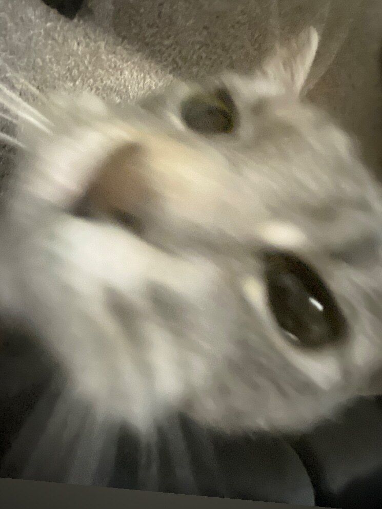 dabbin_boi OnlyFans profile picture