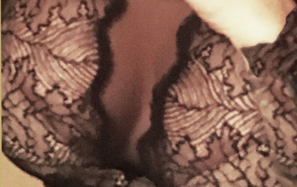 jollybonny OnlyFans profile picture