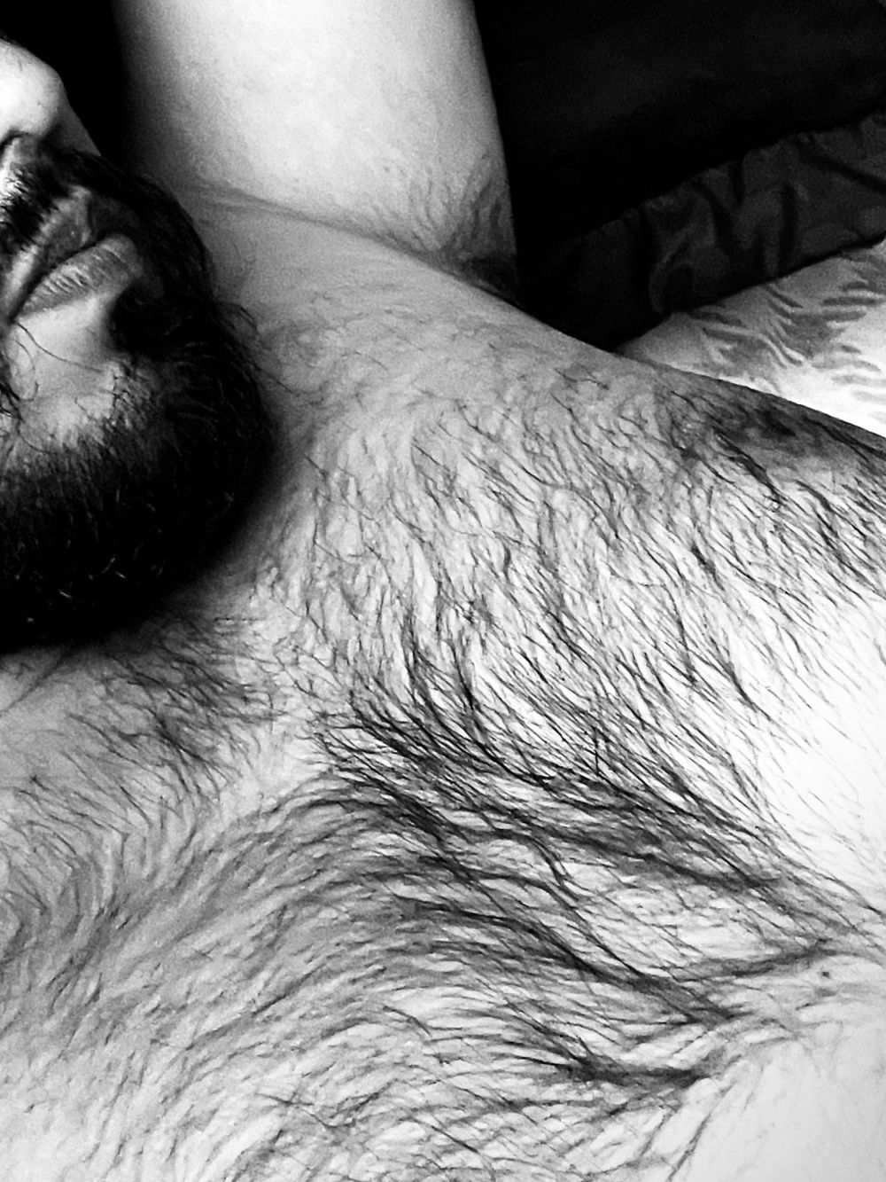 stevevunder OnlyFans profile picture