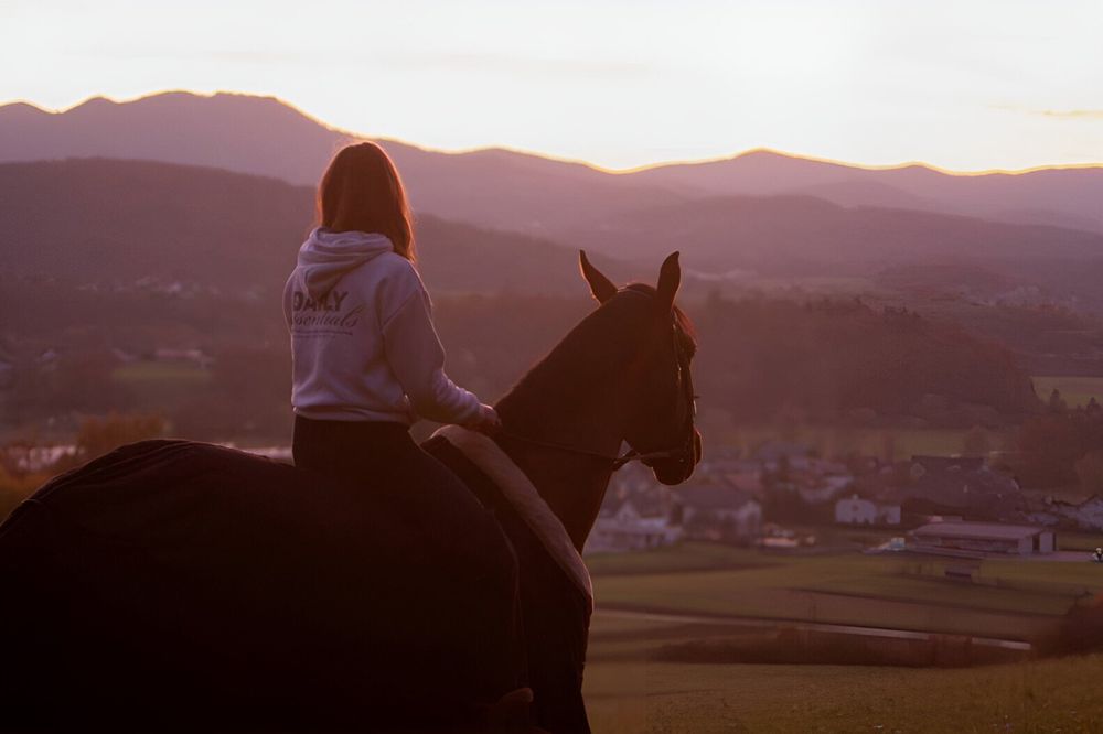 stablesweetie OnlyFans profile picture