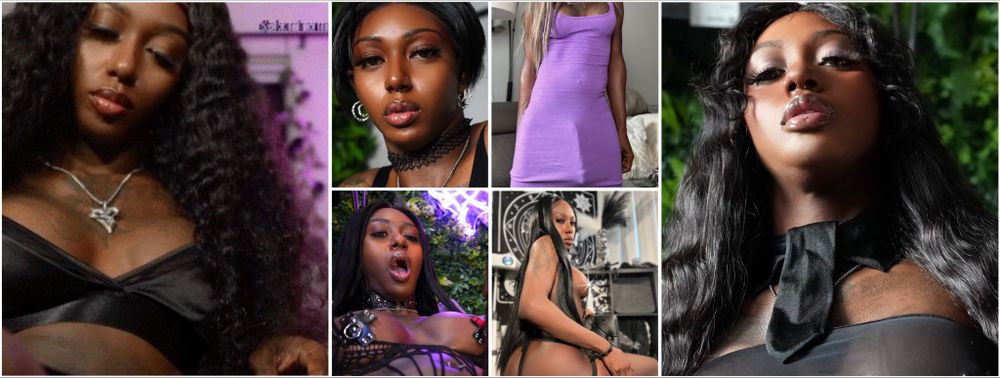 dominamerci OnlyFans profile picture
