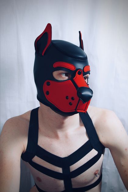 pupjako OnlyFans picture