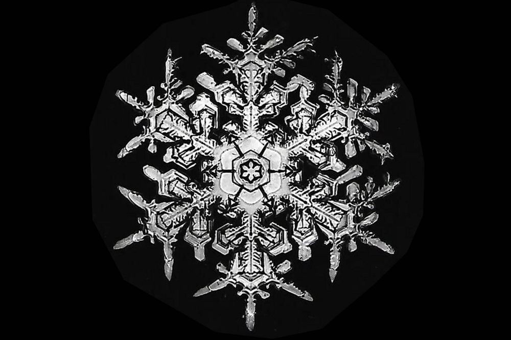 snowf1ake OnlyFans profile picture