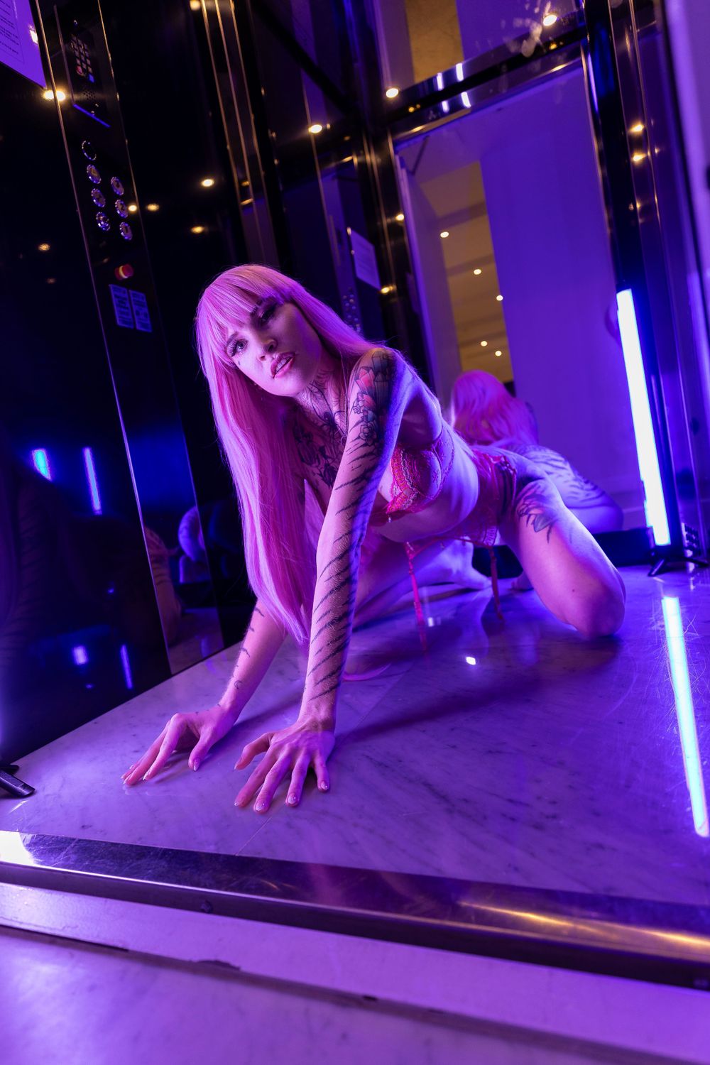 tigerbabex OnlyFans profile picture