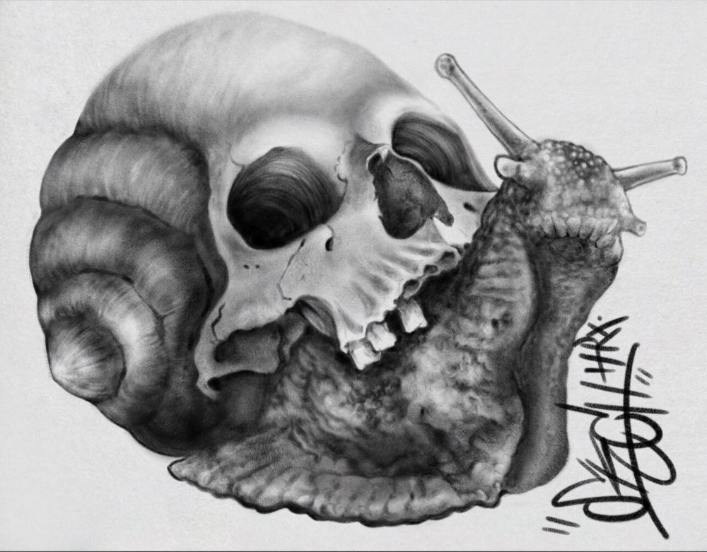 skchyart OnlyFans profile picture