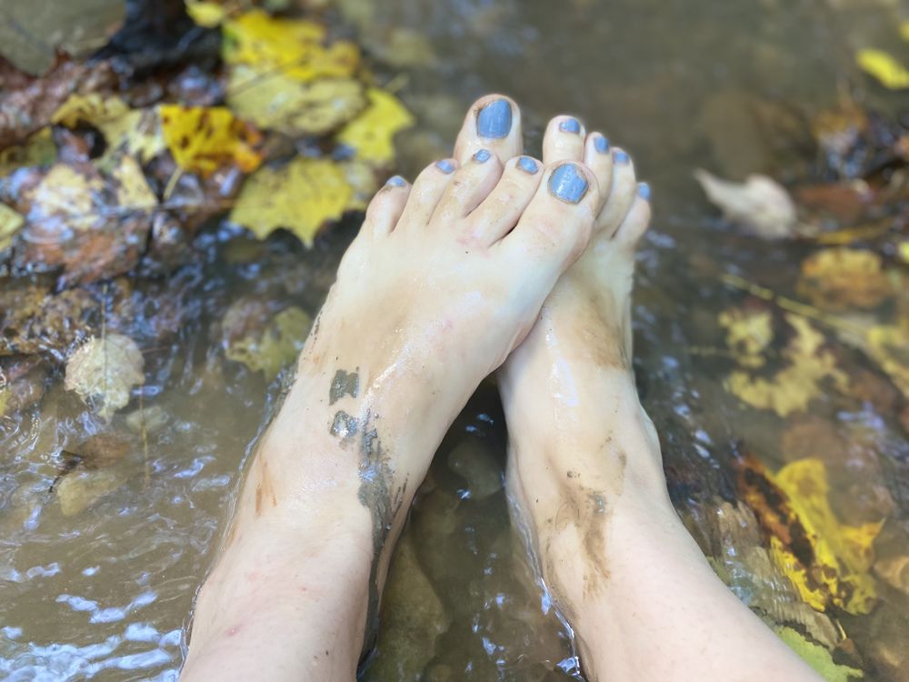 hippiefeet1132 OnlyFans profile picture